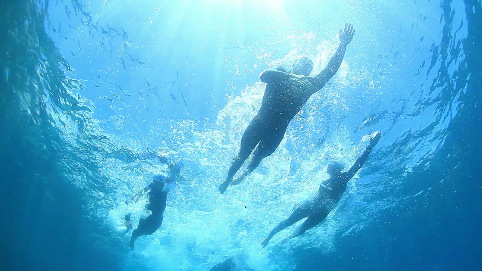 boat trip tenerife tenerife boat trips online daily offers for whale and boat trip tenerife tenerife boat trips online daily offers for whale and