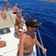 whales in Tenerife