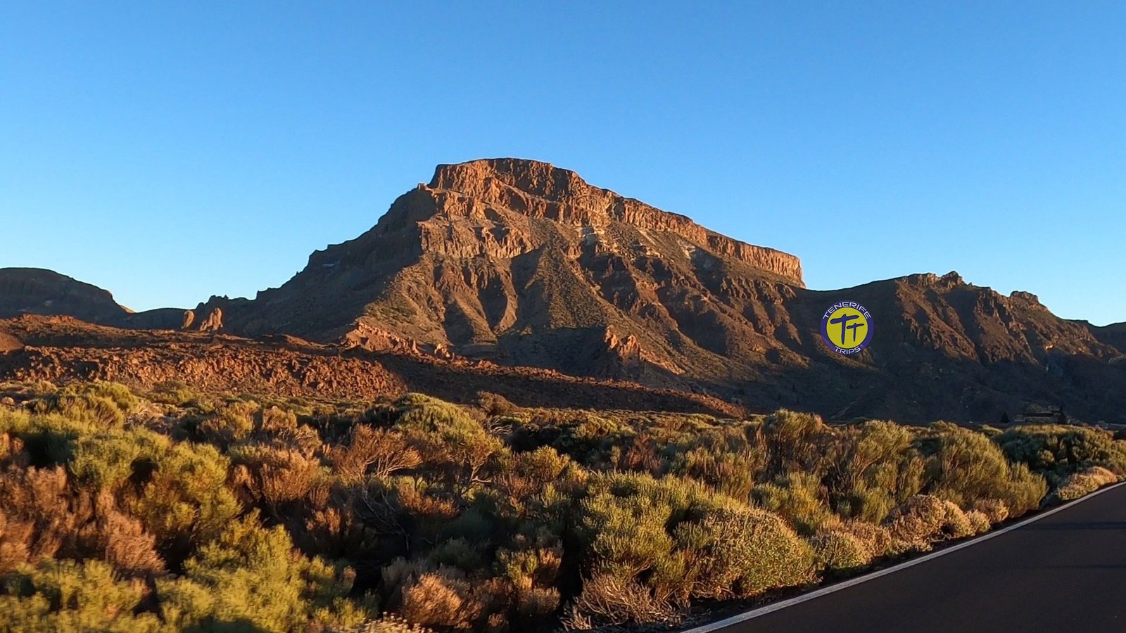 Teide Tour mit dem Bus, Buchen Sie jetzt online mit Tenerife Trips