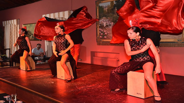 Flamenco Tenerife 1