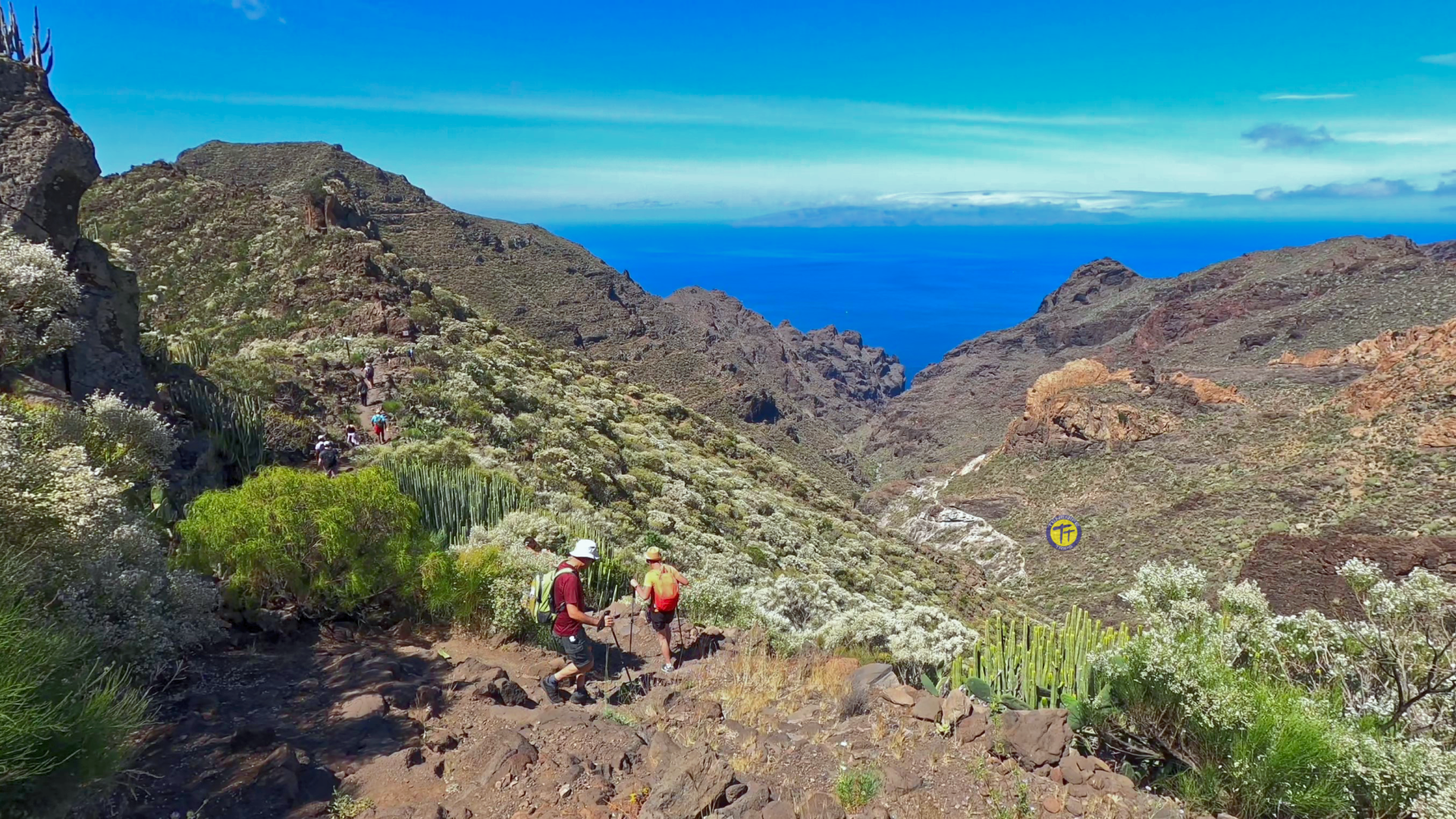 hiking Tenerife