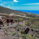 trekking Tenerife
